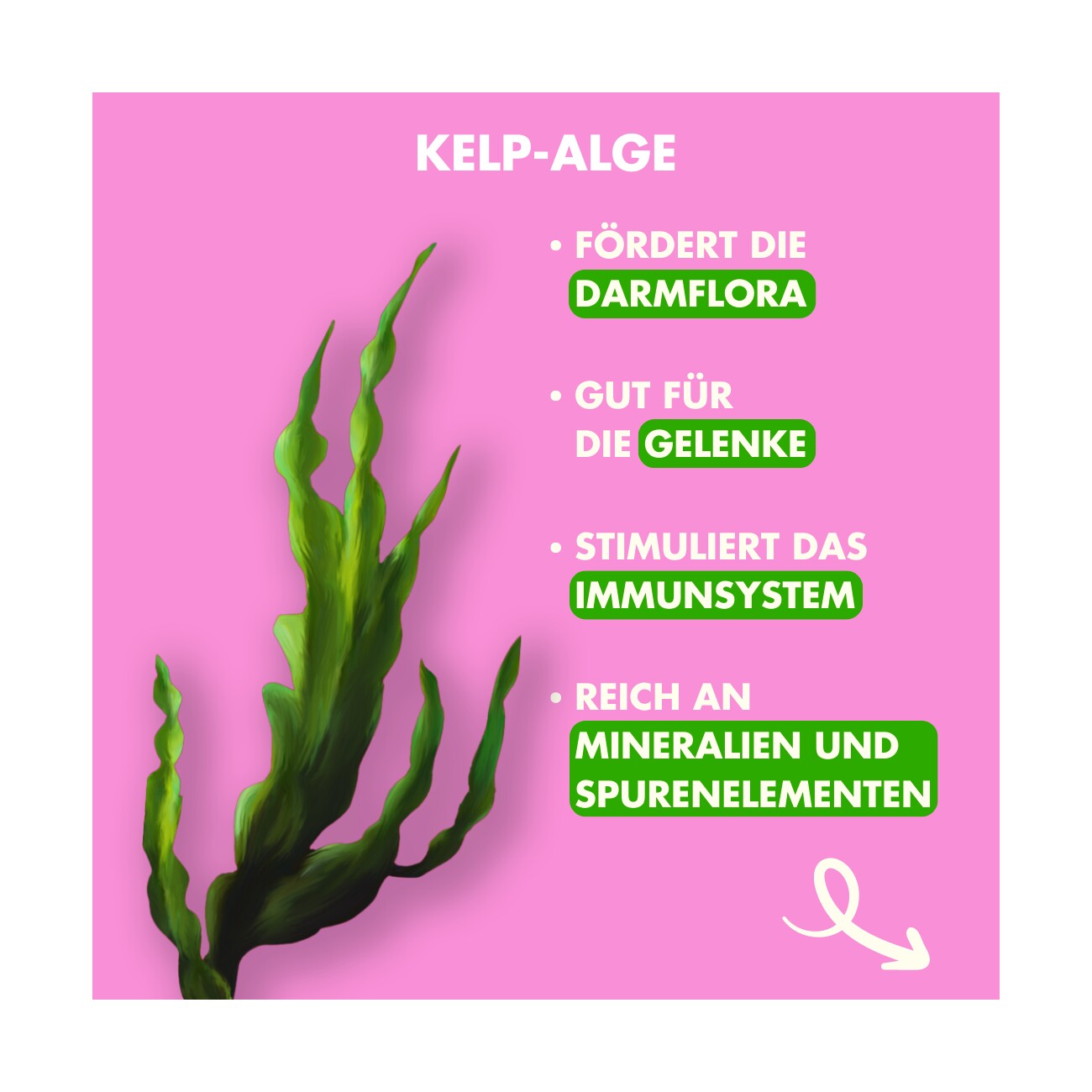 Irish Pure - Lamm, Huhn + Gemüse & Kelp