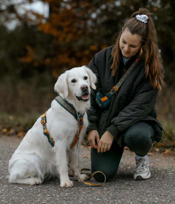 Non-stop dogwear Hundeleine Trail Quest Rachel