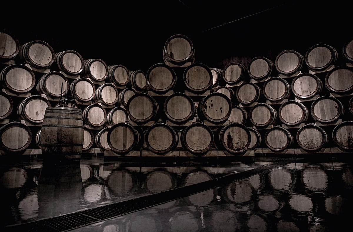 Wein Tasting Stuttgart Bad Cannstatt