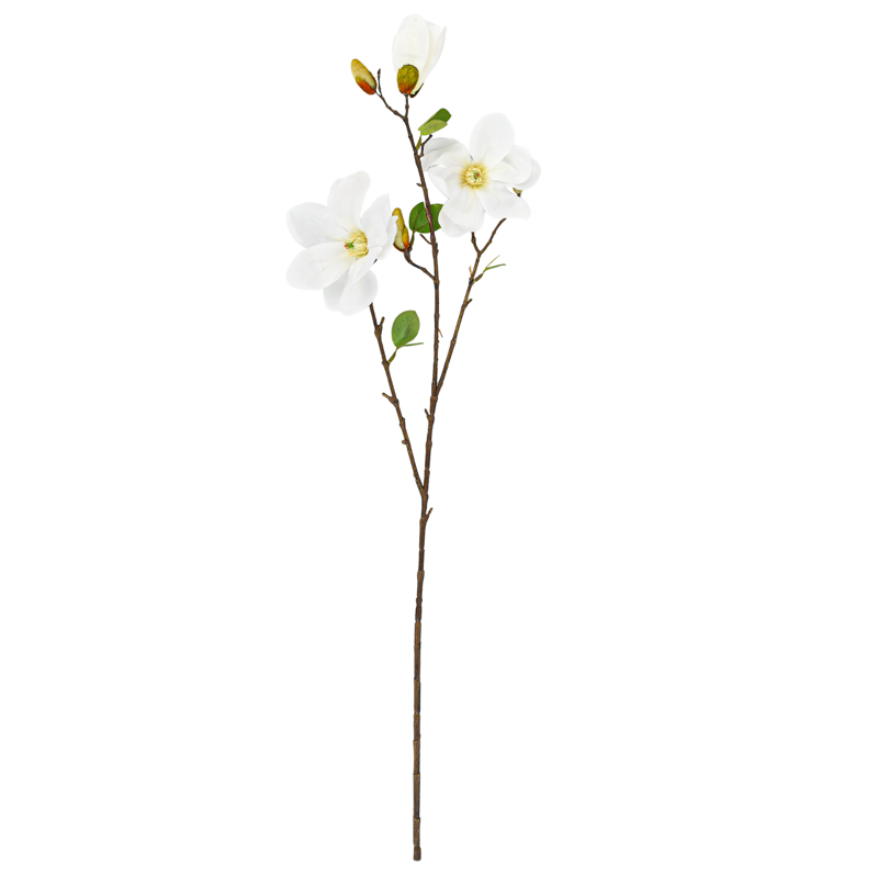 Tige de magnolia géant crème