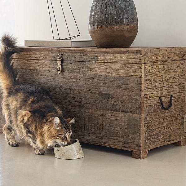 Designed by Lotte Melamine Eet- of Drinkbak Vita Kat | Beige - Mat gouden RVS eetbak | 15147.1