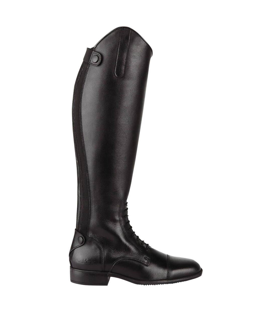 Caldene - Bottes hautes d'équitation ASHFORD - Femme (Noir) - UTTL1629