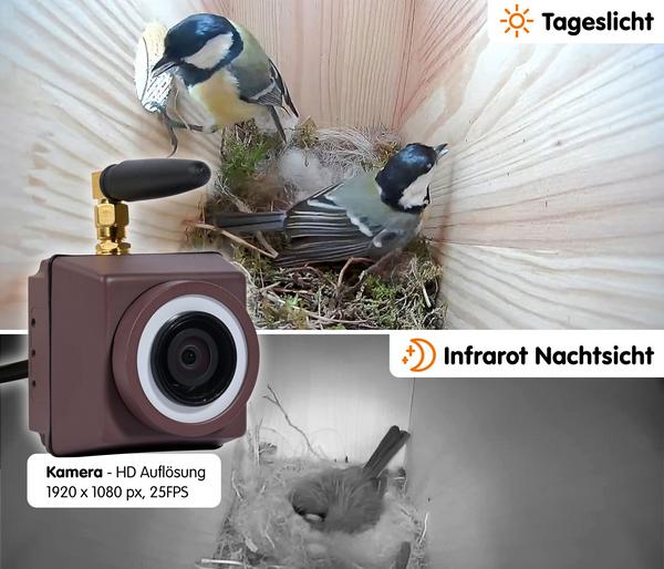 dobar® wildlife Nistkasten Brunhilde, inkl.