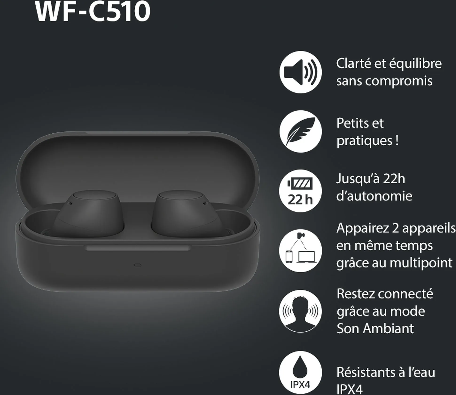 Sony WF-C510 Noir Écouteurs True Wireless