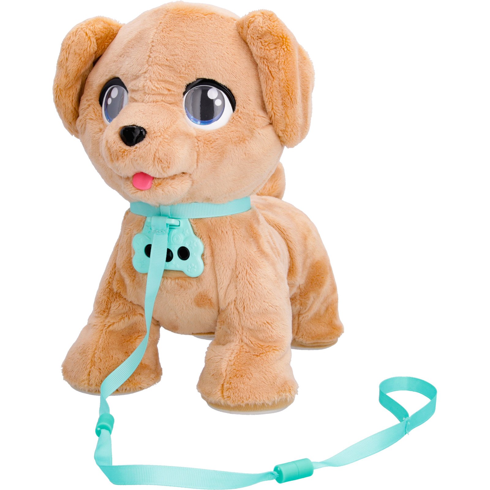 Club Petz Milo