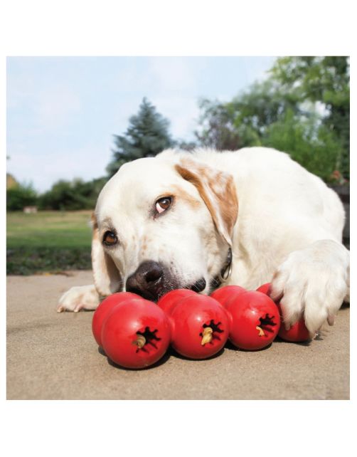 Kong Goodie Ribbon Rood - Hondenspeelgoed