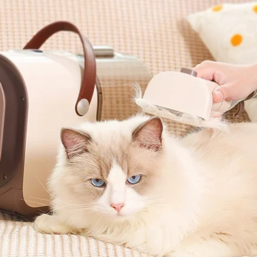 Estação de limpeza para animais de estimação EZIclean® Groomy 6