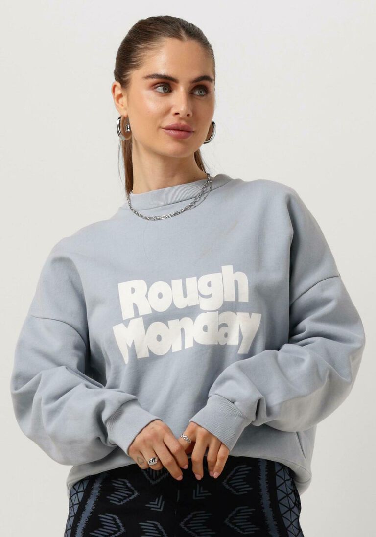 ROUGH STUDIOS lichtblauwe rough studios sweater rough monday sweater