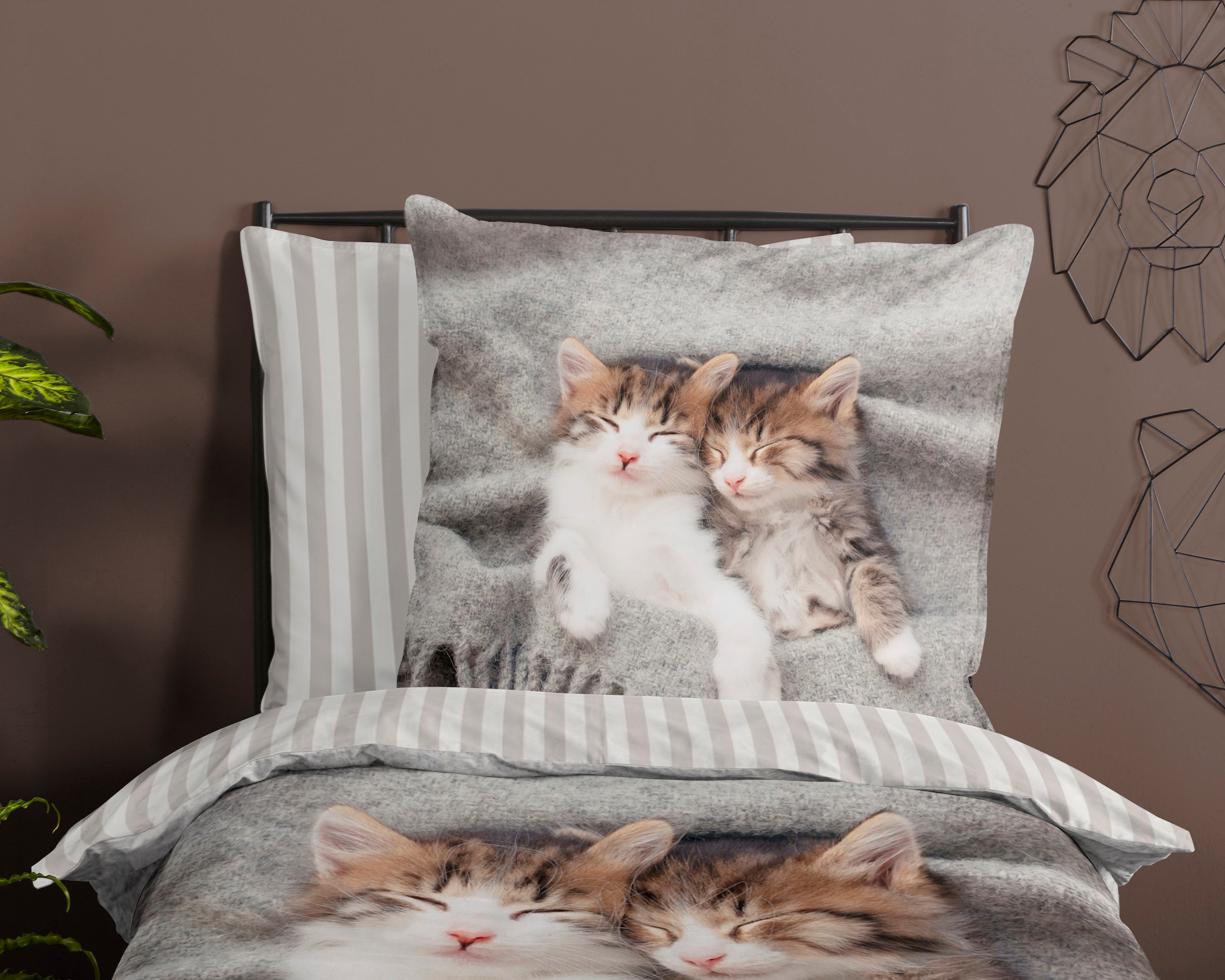 PURE luxury collection Kinderbettwäsche »Snooze« 2 Stk. tlg. Mikrofaser, 135x200, Pflegeleicht, Reissverschluss, Wende, Kind, Katze