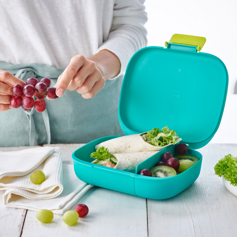 Eco+ 1-2-3 Lunchbox Die Lunchbox mit praktischer Unterteilung und Clip-Verschluss