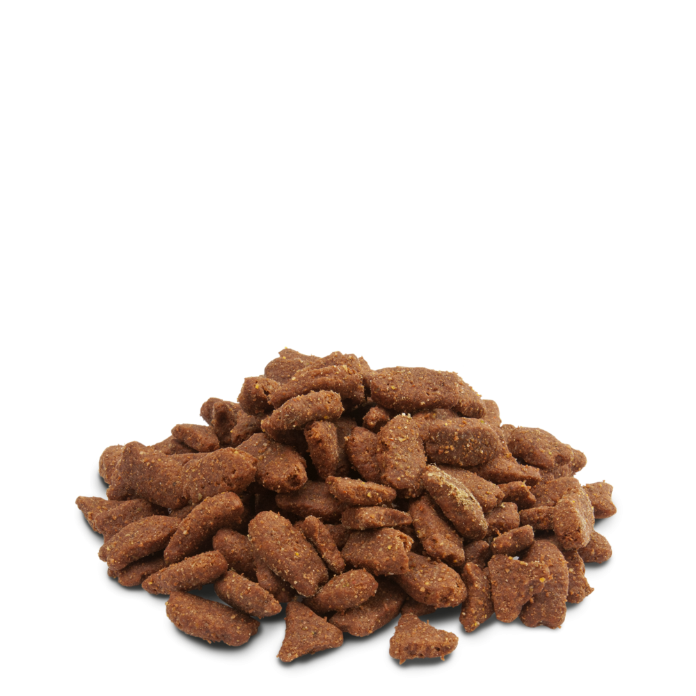 Aliment en granulés, riches en protéines animales, 700g pour furets