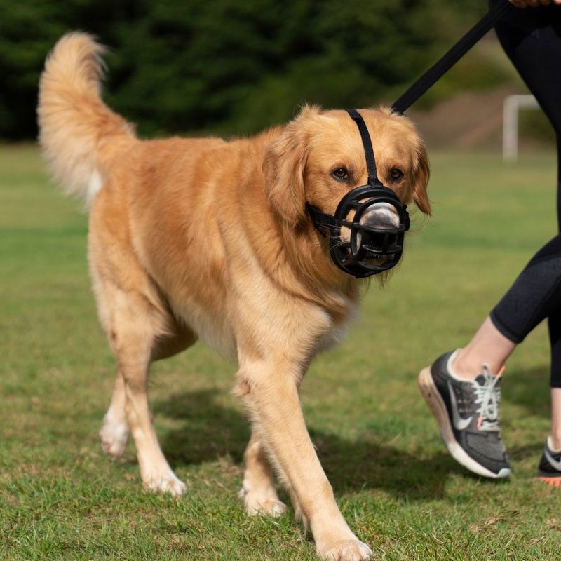 Muselière Baskerville Ultra 2.0 pour chien