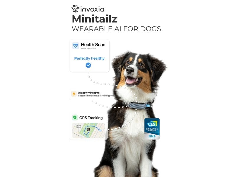Invoxia GPS- und Gesundheitstracker Dog MiniTailz, schwarz Der fortschrittlichste GPS- und Gesundheitstracker für Hunde