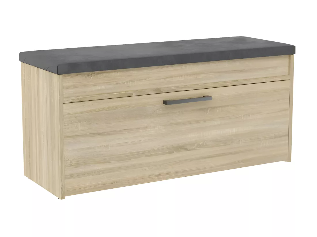 PARMI - Meuble à chaussures style scandinave entrée - 100x35x49 - Banc avec rangement