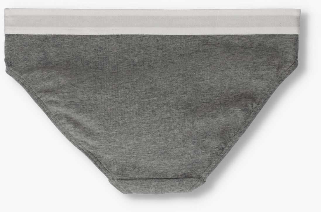 TOMMY HILFIGER UNDERWEAR grijze tommy hilfiger underwear  2p bikini