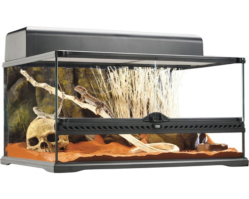 Terrarium, Paludarium Exo Terra incl. achtergrond, zonder deksel en decoratie 60 x 45 x 30 cm