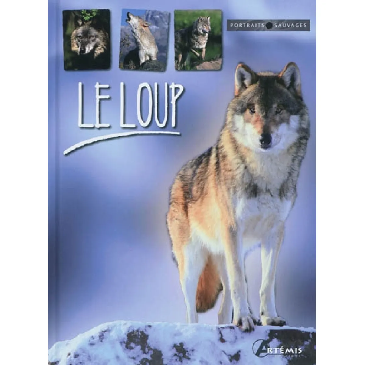 Le loup · Occasion