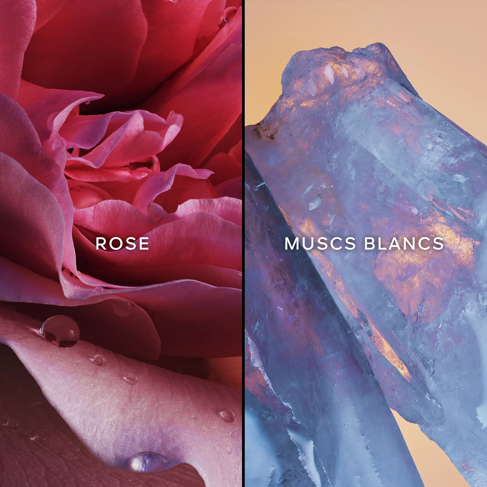 L'Instant Magic Eau de Parfum |