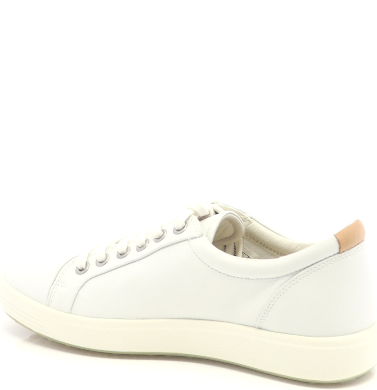 83536 ECCO