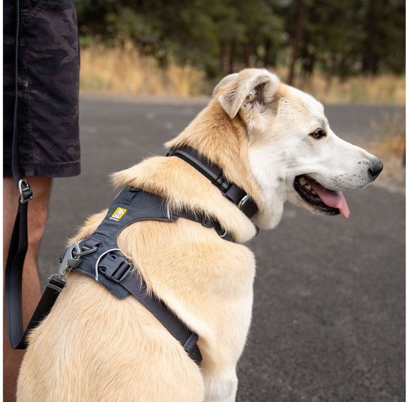 Ruffwear - Front Range Harness - Hondentuig - Maat S - 56 - 69 cm Borstomvang