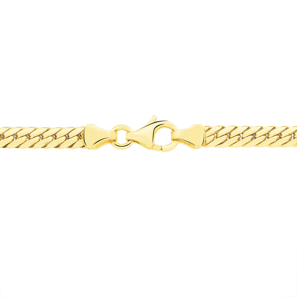 Collier Synda Maille Anglaise Or Jaune