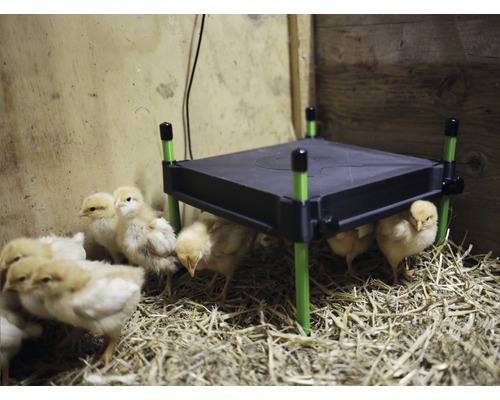 KERBL CosyHeat verwarmingsplaat voor kuikens 30 x 30 cm