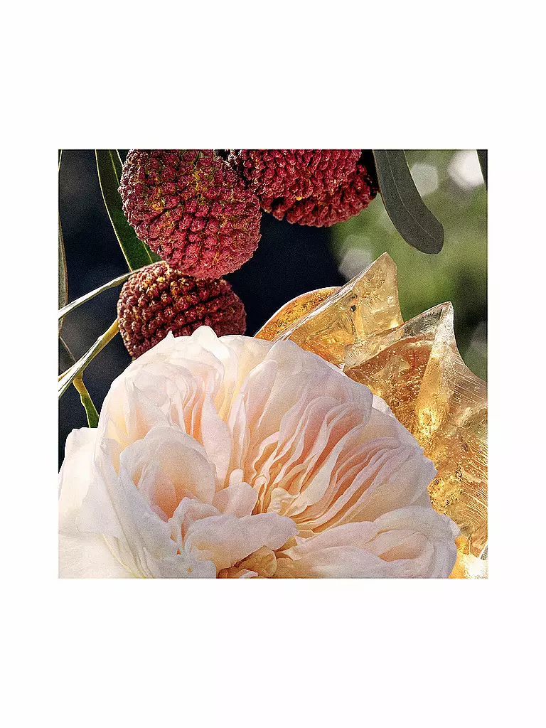 CHLOE Chloé Eau de Parfum Spray Refillable 100ml  keine Farbe