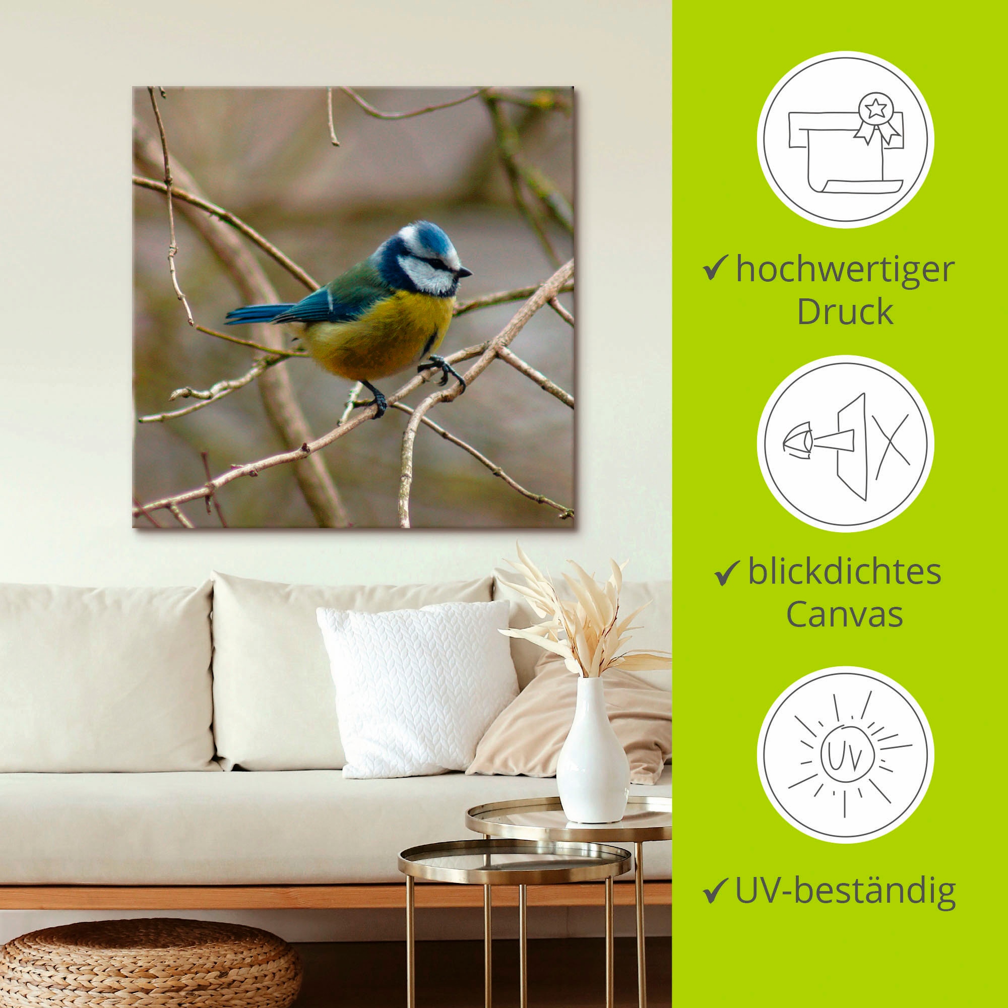 Artland Wandbild »Blaumeise« Vögel 1 Stk. tlg. als Leinwandbild, Wandaufkleber in verschied. Grössen