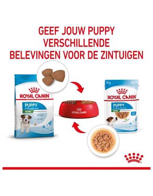 Royal Canin Mini Natvoer - Puppy-Hondenvoer - 85 g