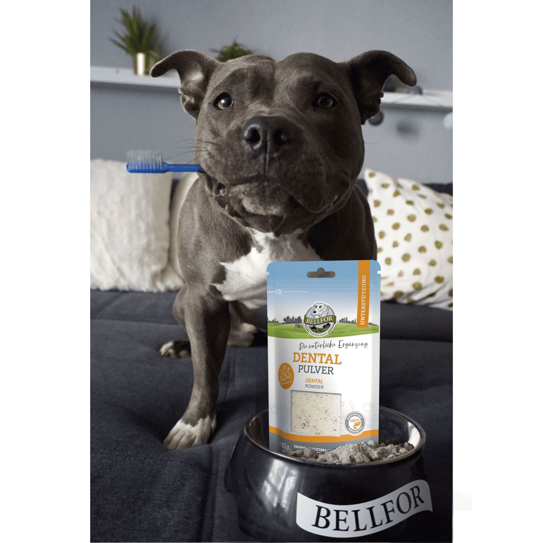 Bellfor Dental Pulver natürliches Zahnpulver für Hunde