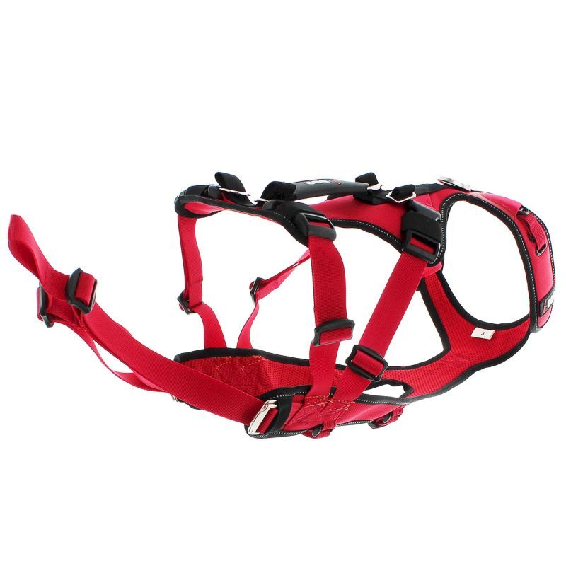 Confort Trek - Harnais pour chien