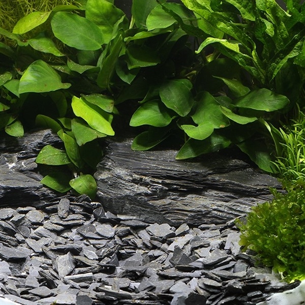 Dennerle Natuur Grind Kongo 10-30mm 500g | Bodembedekking