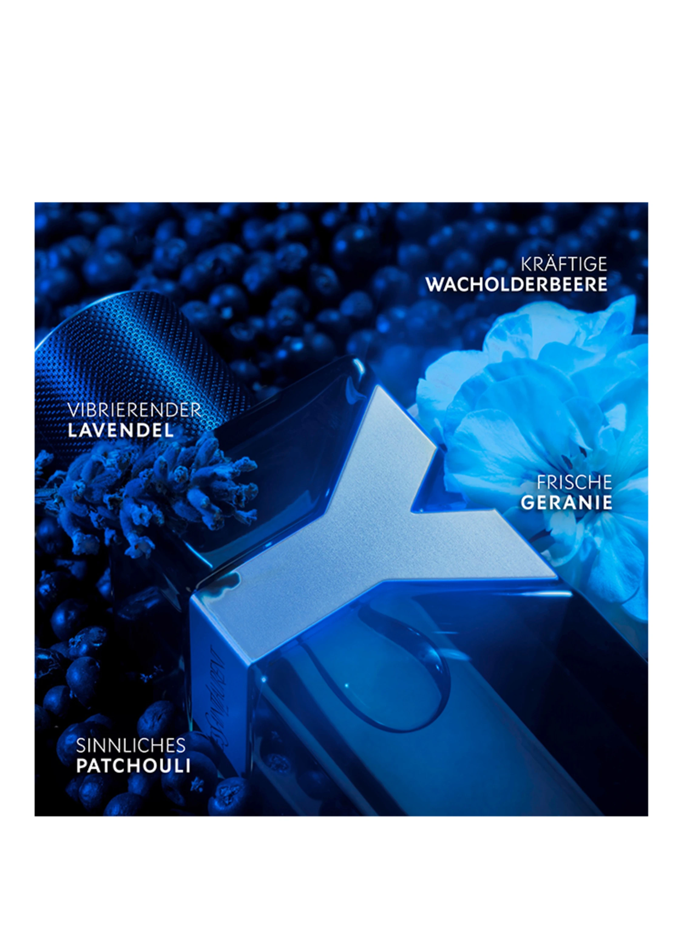 YVES SAINT LAURENT BEAUTÉ Y INTENSE