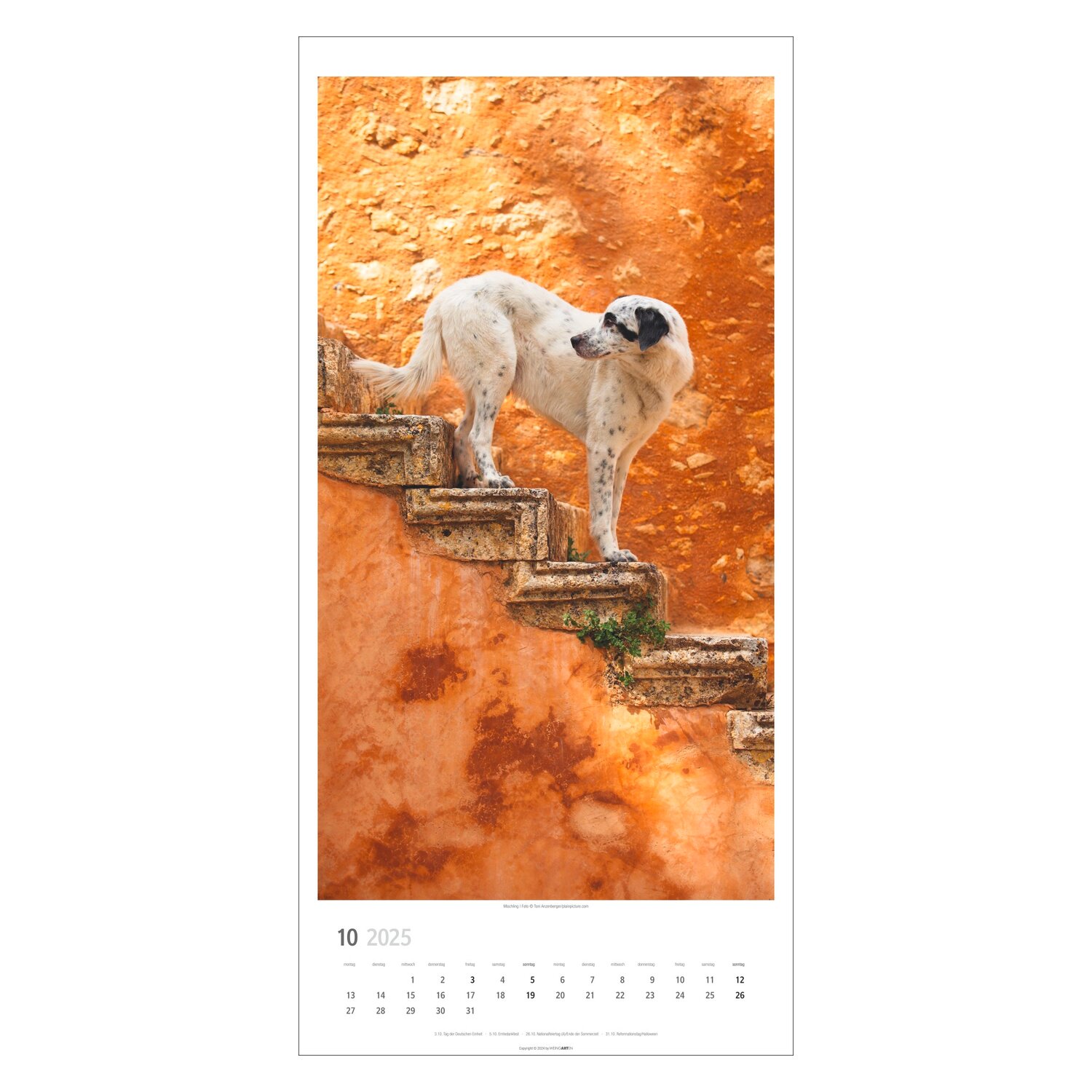 Kalender 2025 SITZ! PLATZ! BLEIB!  - 2025