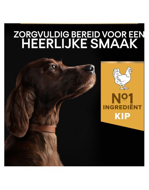 Pro Plan Dog Adult Athletic Large Breed Kip - Hondenvoer