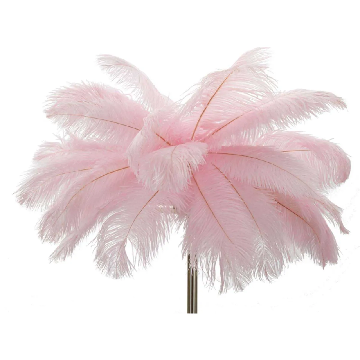 Mauro Ferretti Lampadaire Palm - Rose