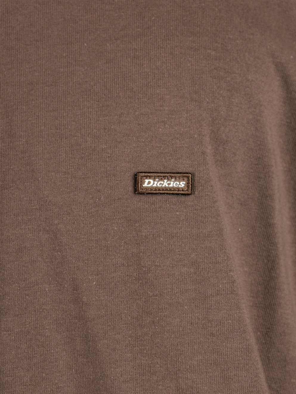 Dickies Clancy Heavyweight T-Shirt mushroom