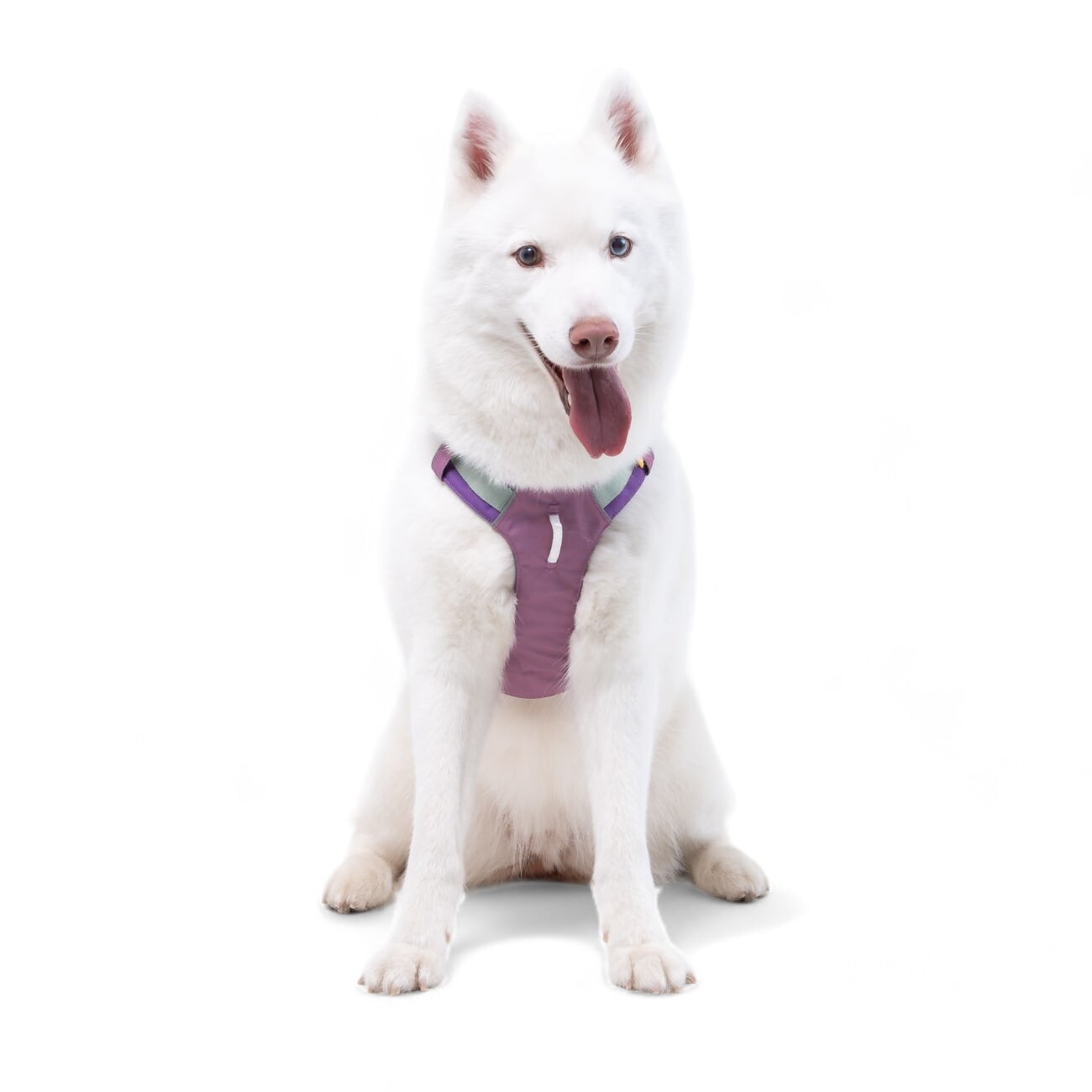 Woolly Wolf Geschirr Alpha 360 Mauve Mix XS