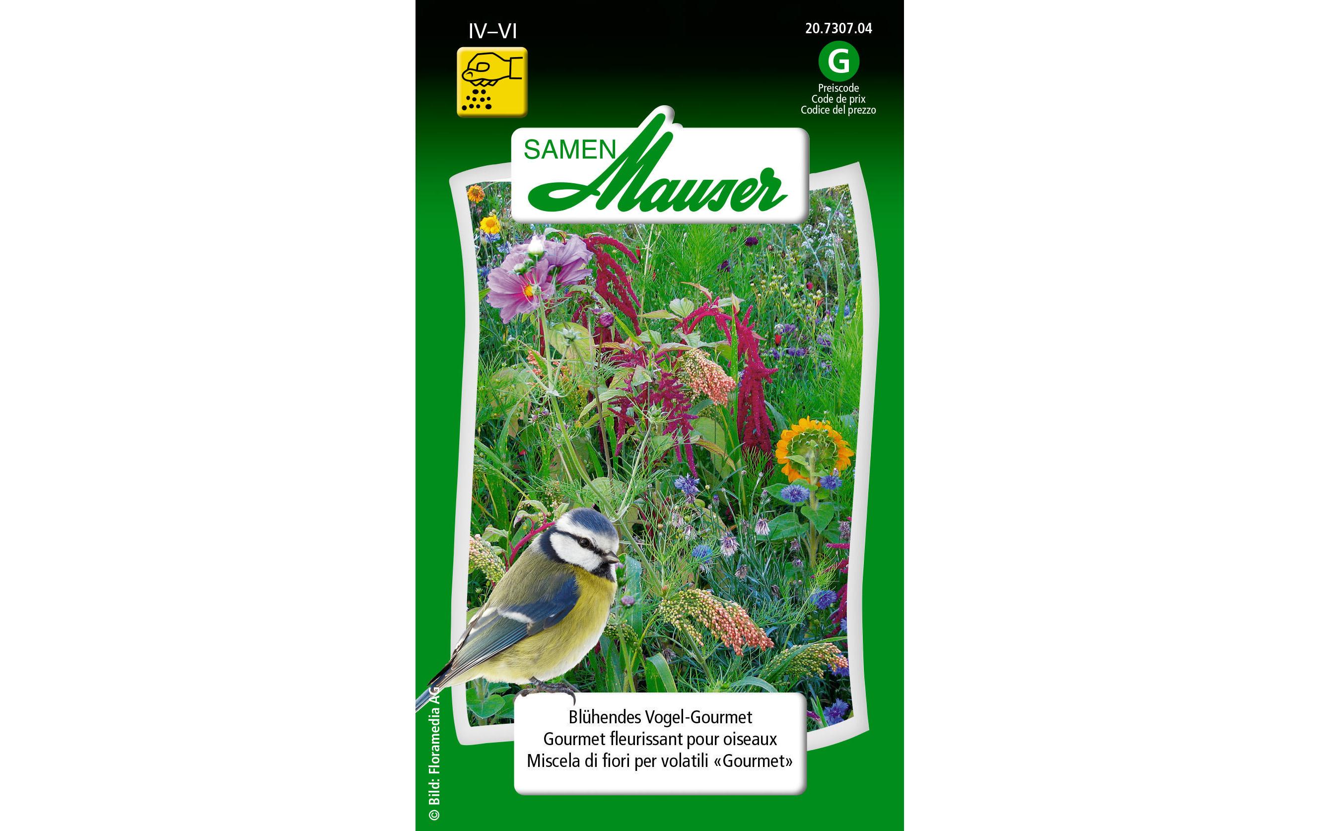 Saatgut Blühendes VogelGourmetBlumensamen