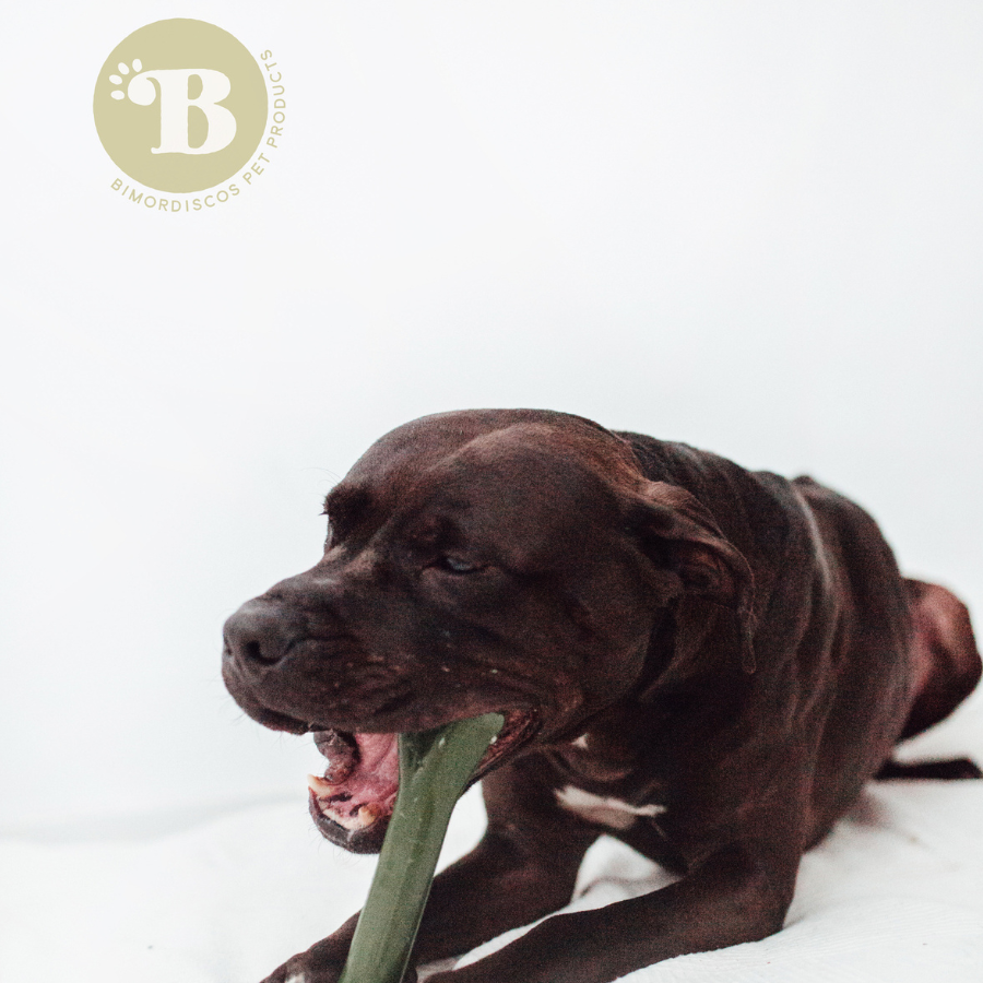 BIMORDISCOS OSSO ETERNO Osso de Cão