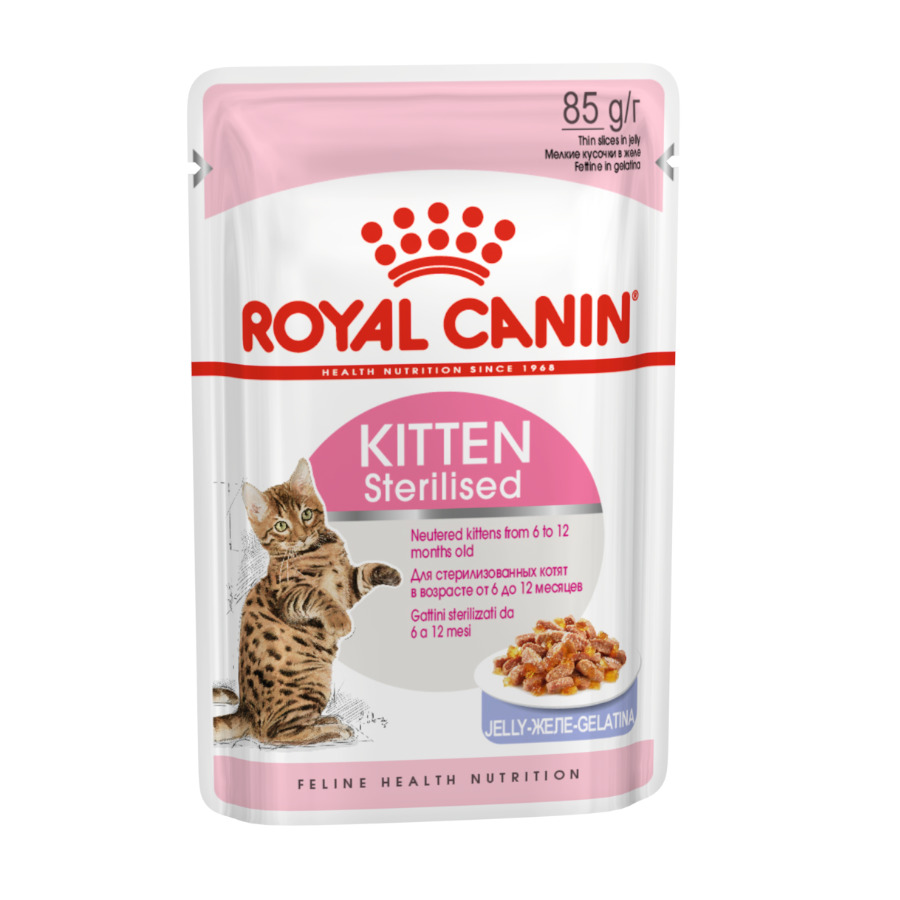 Gelatina esterilizada Royal Canin Kitten para gatos