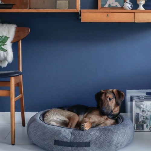 Cama redonda Halo para animais de estimação, cinza
