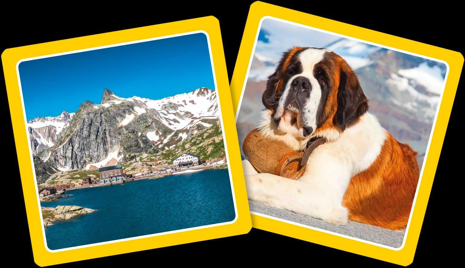 Gesucht & gefunden in der Schweiz - Die schönsten Schweizer Paare