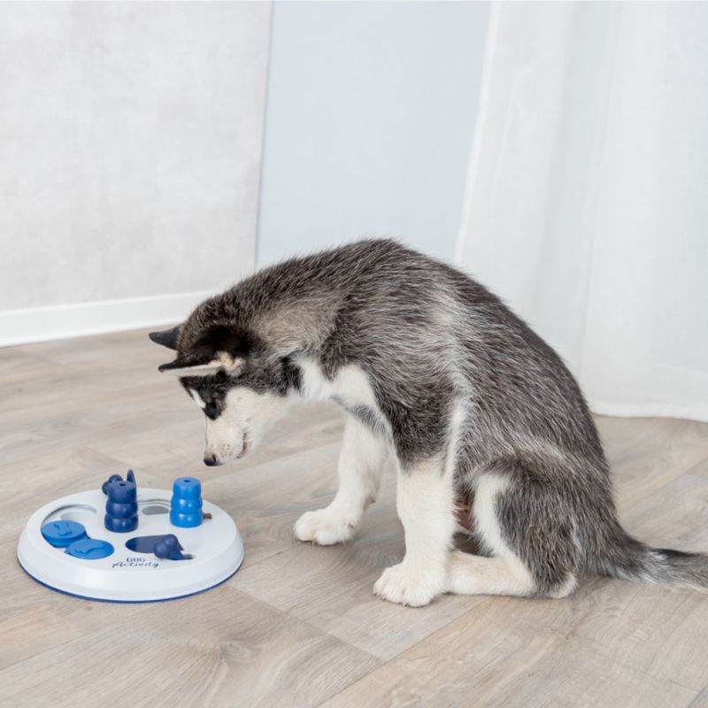 Jouet Trixie Dog Activity Flip Board