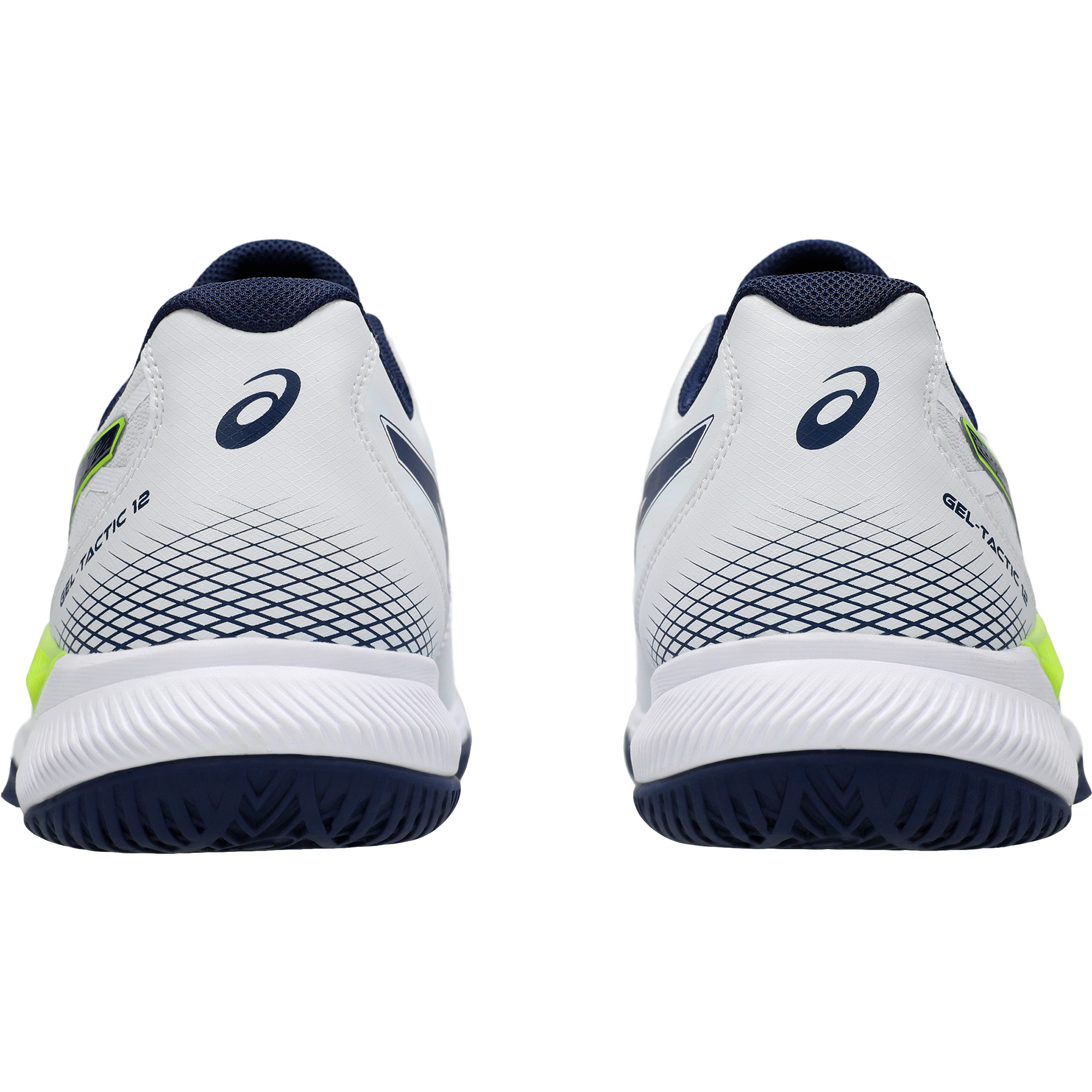 ASICS Gel-Tactic 12 Hallenschuhe Herren white