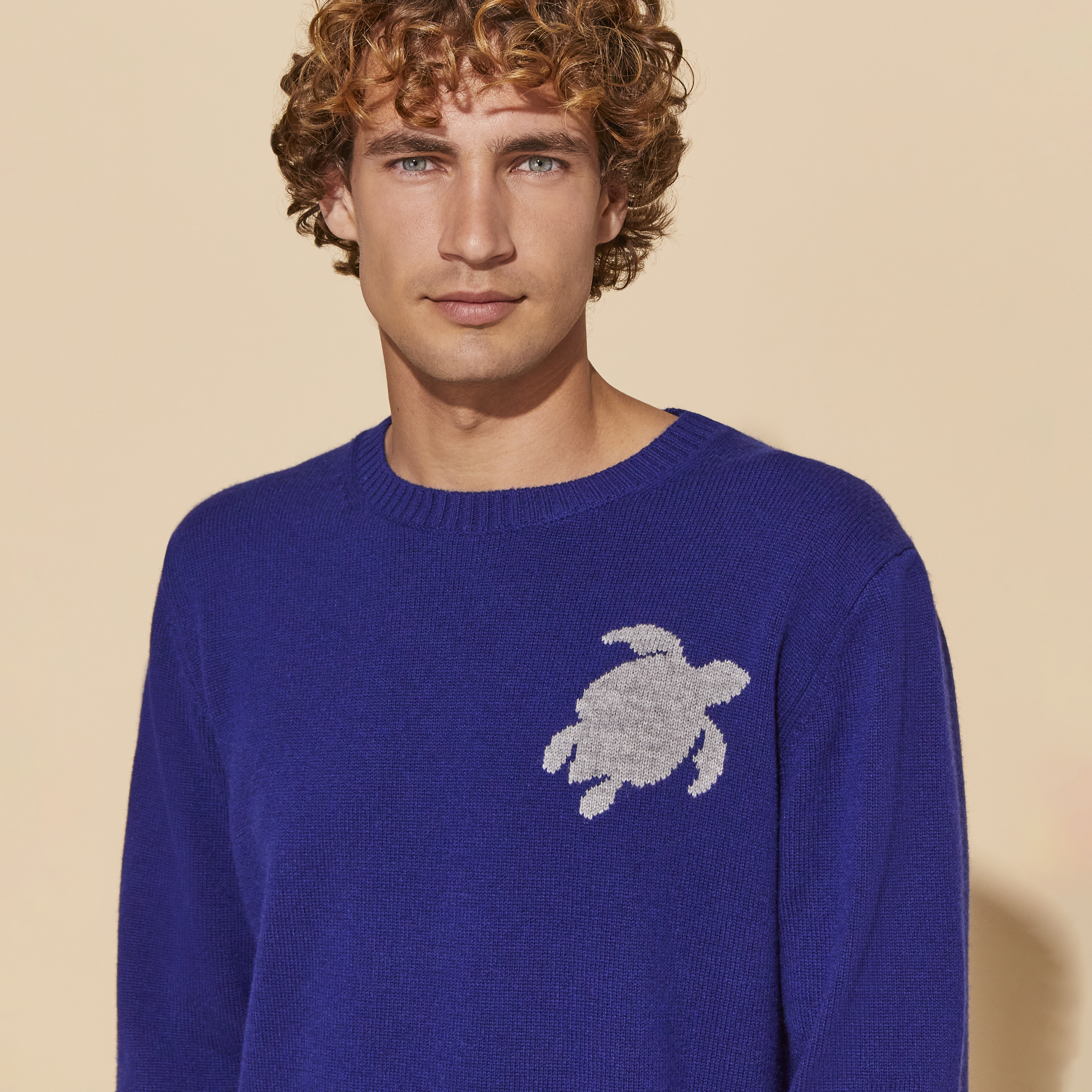 Pullover en Laine et Cachemire Ras-du-cou Homme Tortue