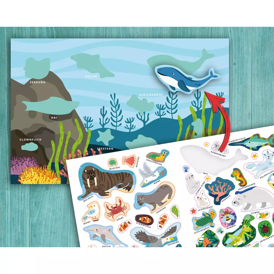 arsEdition Mein erstes Sticker-Bilderlexikon – Tiere