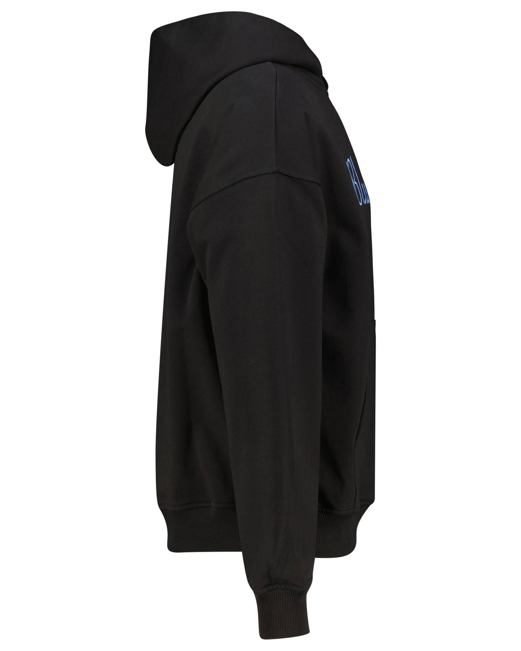 BLUE SKY INN| Herren Hoodie LOGO HOODIE