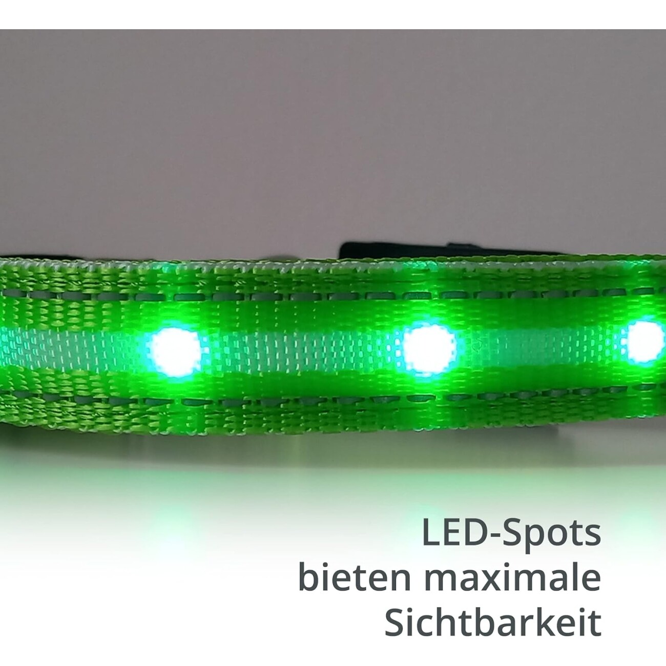 Petsation Leuchthalsband Hundehalsband grün S