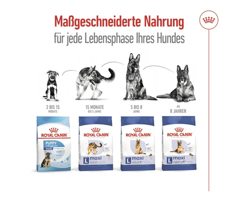 ROYAL CANIN Maxi Adult +5 droog hondenvoer, 15 kg